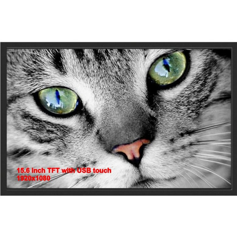 15.6 TFT INCH ກັບ USB ສໍາພັດ Monitor